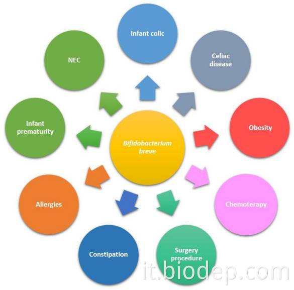 BIFIDOBACTERIUM BREVE1